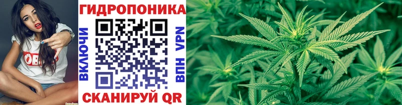 Где найти наркотики Великие Луки АМФ Меф Каннабис A PVP