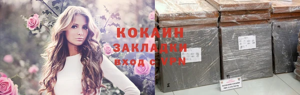 дживик Балахна
