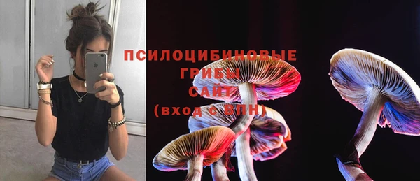 дживик Балахна