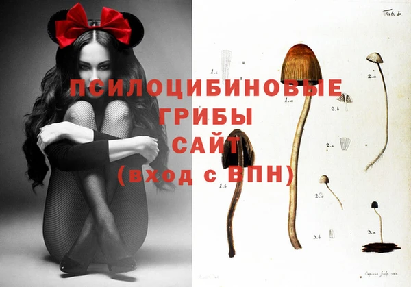 дживик Балахна